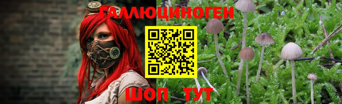 Галлюциногенные грибы Magic Shrooms  Вход с VPN  Галлюциногенные грибы Psilocybe  Советская Гавань 